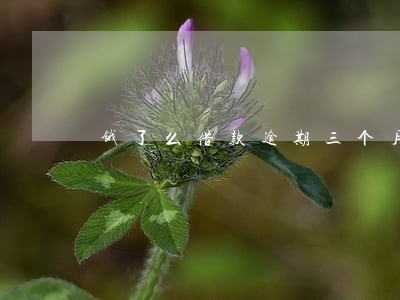 饿了么借款逾期三个月 饿了么借款逾期三个月