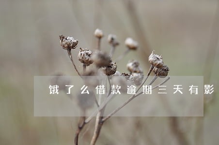饿了么借款逾期三天有影响吗 饿了么借款逾期三天有影响吗