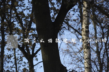 饿了么借款逾期半个小时 饿了么借款逾期半个小时