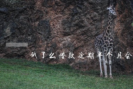饿了么借款逾期半个月会怎样