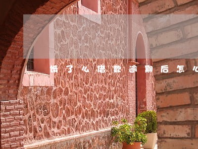 饿了么借款逾期后怎么还款 饿了么借款逾期后怎么还款