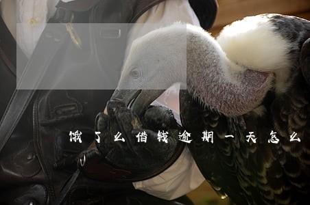 饿了么借钱逾期一天怎么还