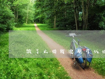 饿了么借钱逾期可以协商吗 饿了么借钱逾期可以协商吗