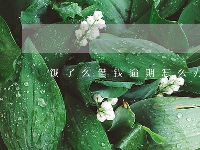 饿了么借钱逾期怎么办 饿了么借钱逾期怎么办