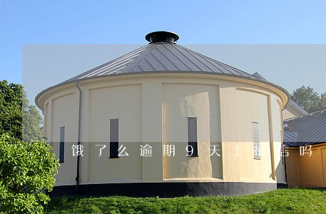 饿了么逾期9天上征信吗 饿了么逾期9天上征信吗