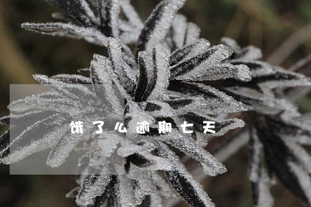 饿了么逾期七天 饿了么逾期七天