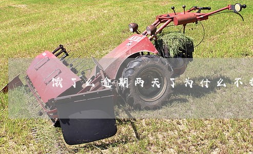 饿了么逾期两天了为什么不打电话 饿了么逾期两天了为什么不打电话