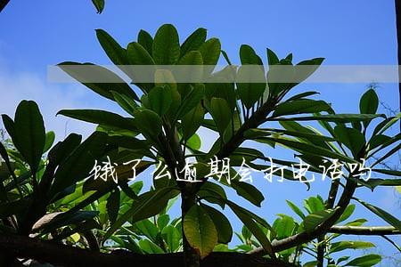 饿了么逾期会打电话吗