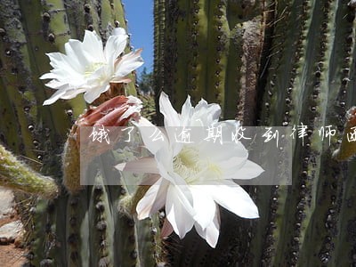 饿了么逾期收到律师函