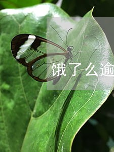 饿了么逾期要赔付违约金 饿了么逾期要赔付违约金