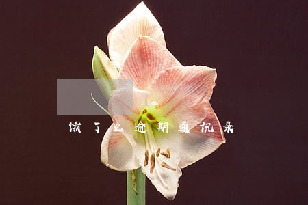 饿了么逾期通讯录 饿了么逾期通讯录