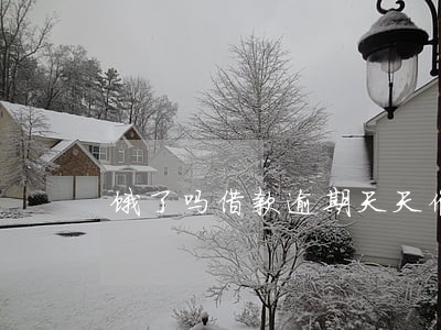 饿了吗借款逾期天天催