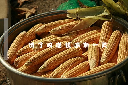 饿了吗借钱逾期一天 饿了吗借钱逾期一天