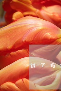 饿了吗借钱逾期怎么办
