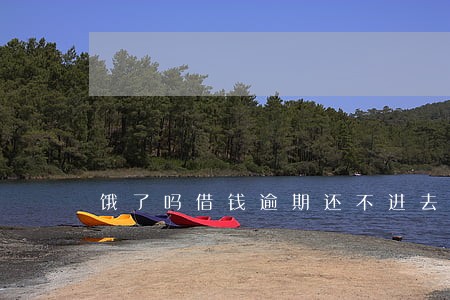 饿了吗借钱逾期还不进去
