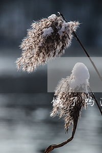 饿了吗逾期打电话还全款 饿了吗逾期打电话还全款