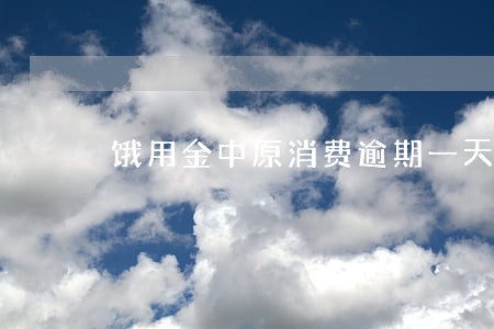 饿用金中原消费逾期一天 饿用金中原消费逾期一天