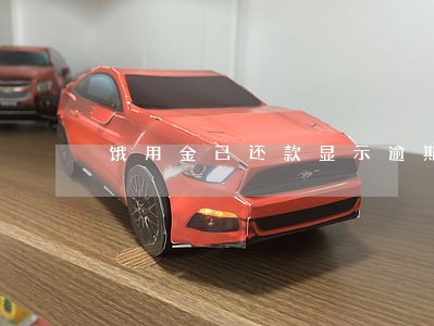 饿用金已还款显示逾期