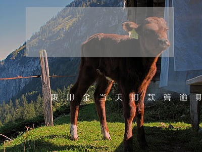 饿用金当天扣款算逾期么 饿用金当天扣款算逾期么