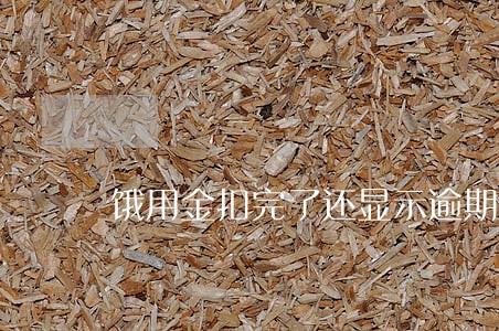饿用金扣完了还显示逾期 饿用金扣完了还显示逾期
