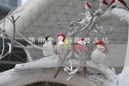 饿用金没逾期被冻结 饿用金没逾期被冻结