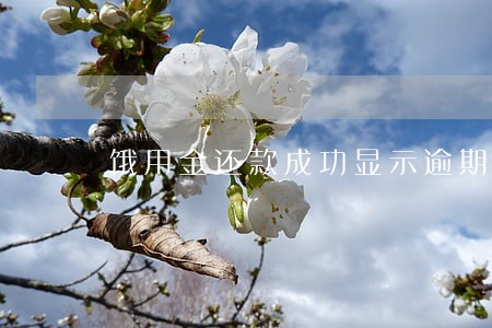 饿用金还款成功显示逾期 饿用金还款成功显示逾期