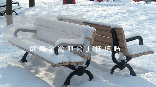 饿用金逾期会上征信吗 饿用金逾期会上征信吗