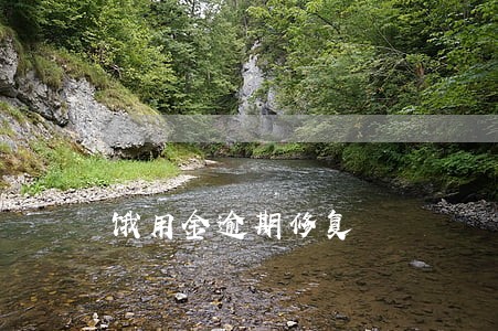 饿用金逾期修复 饿用金逾期修复