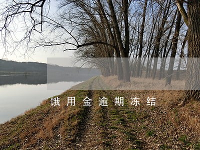饿用金逾期冻结 饿用金逾期冻结