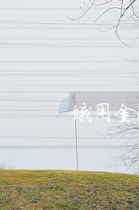 饿用金逾期冻结多久解除 饿用金逾期冻结多久解除