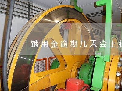 饿用金逾期几天会上征信