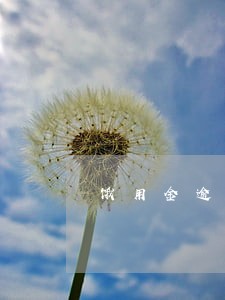 饿用金逾期几天打电话