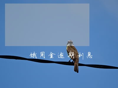 饿用金逾期利息 饿用金逾期利息