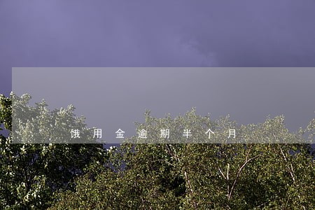 饿用金逾期半个月 饿用金逾期半个月