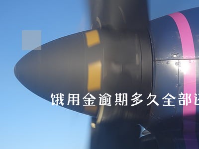 饿用金逾期多久全部还清 饿用金逾期多久全部还清