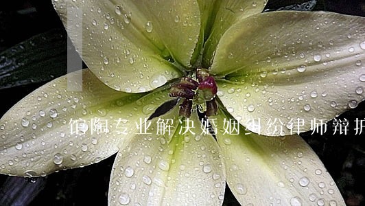 馆陶专业解决婚姻纠纷律师辩护 馆陶专业解决婚姻纠纷律师辩护