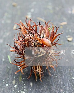 首付分期买房付款逾期不交怎么办 首付分期买房付款逾期不交怎么办