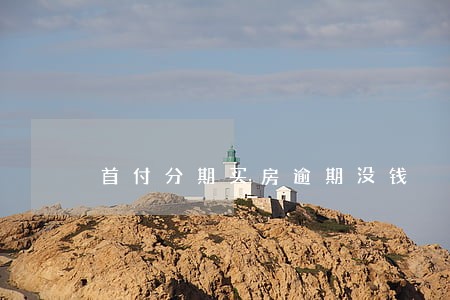 首付分期买房逾期没钱