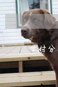首付分期付款逾期怎么办 首付分期付款逾期怎么办
