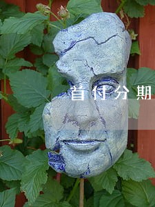首付分期付款逾期未交 首付分期付款逾期未交