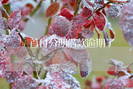 首付分期借款逾期了 首付分期借款逾期了