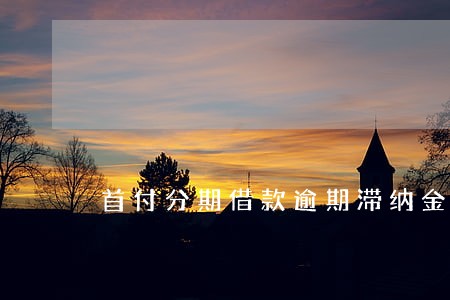 首付分期借款逾期滞纳金上限 首付分期借款逾期滞纳金上限