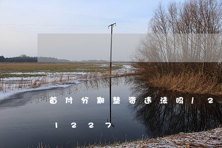 首付分期垫资违法吗/2023012601227 首付分期垫资违法吗/2023012601227