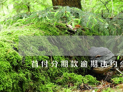 首付分期款逾期违约金有多少 首付分期款逾期违约金有多少