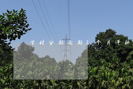 首付分期逾期2个月滞纳金 首付分期逾期2个月滞纳金