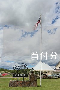 首付分期逾期交是否有滞纳金 首付分期逾期交是否有滞纳金