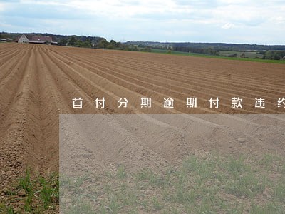 首付分期逾期付款违约金 首付分期逾期付款违约金