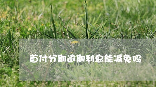 首付分期逾期利息能减免吗 首付分期逾期利息能减免吗