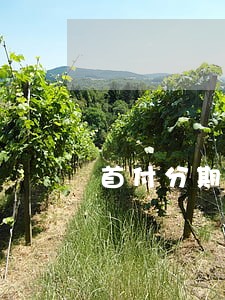 首付分期逾期最长多长时间 首付分期逾期最长多长时间