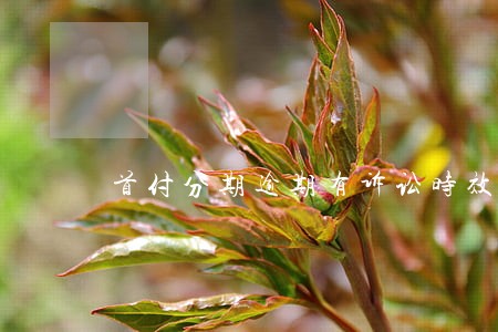 首付分期逾期有诉讼时效吗 首付分期逾期有诉讼时效吗